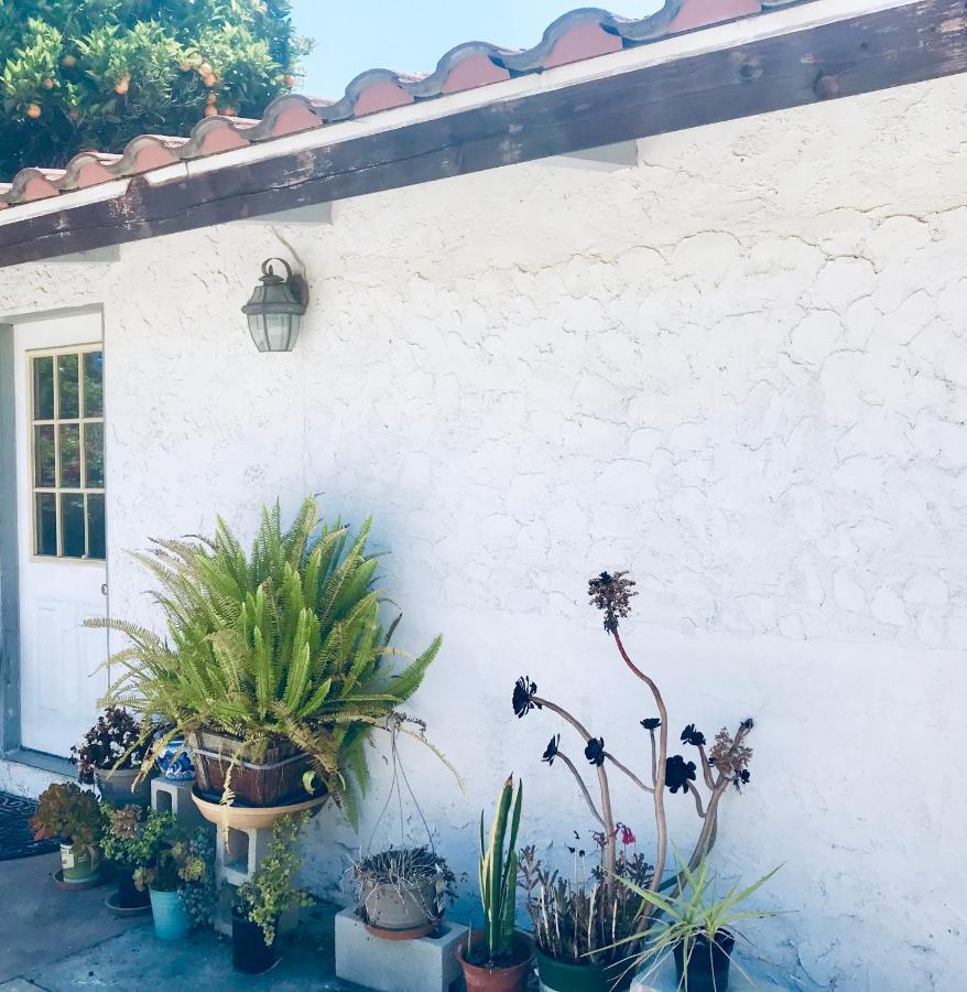 3 Bedrooms Guest House, Pacific Beach, Sea World, Downtown,& 3 Bus Lines-3 San Diego Exterior foto